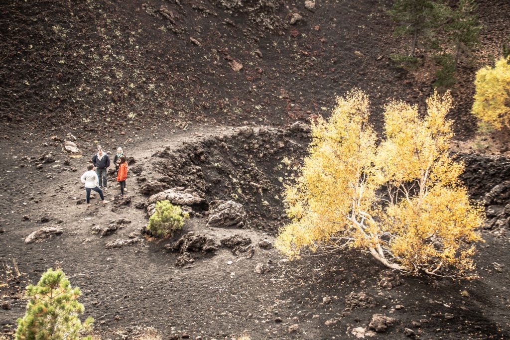 crateri monti sartorius, etna est, betulle