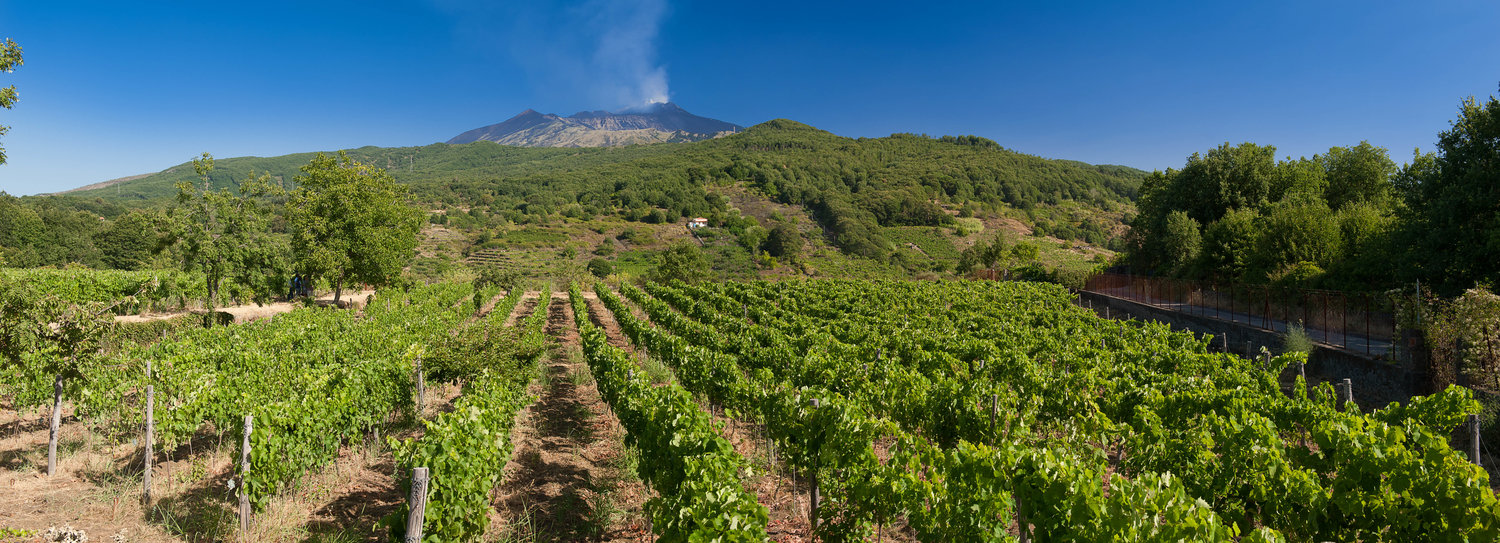 Trekking etna wine